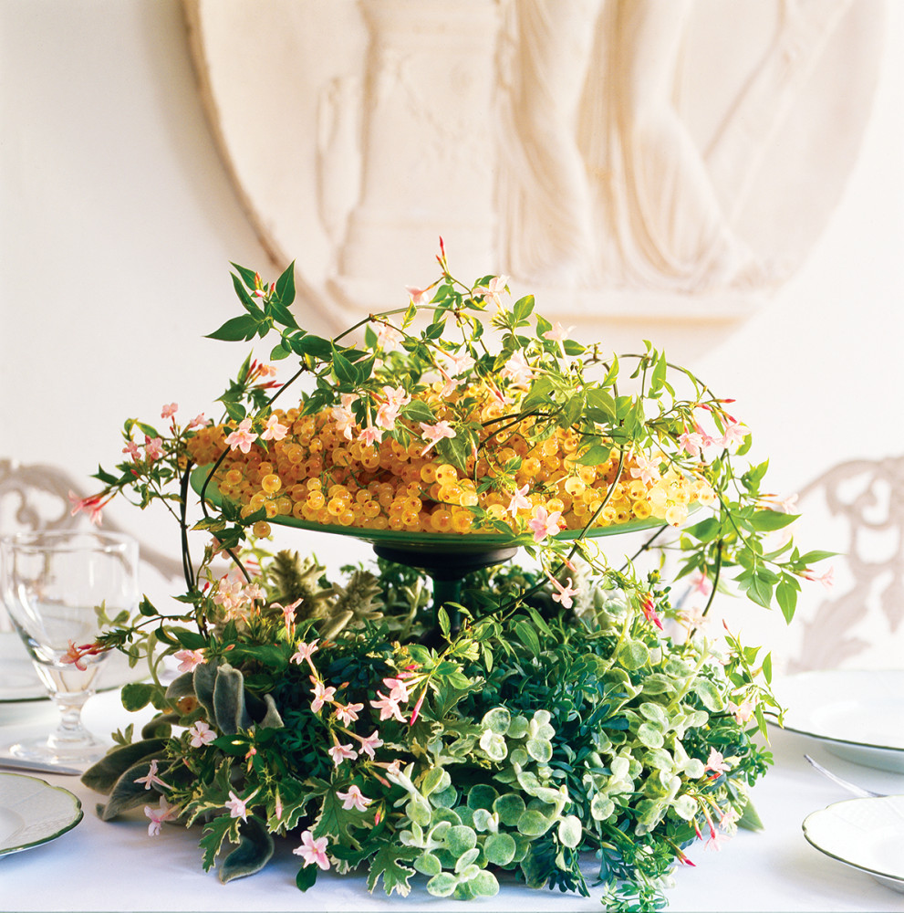 Jasmine steals the show in this compote arrangement of white currants, helichrysum, rue, scented geranium foliage, and lamb's ear. (Photo Courtesy of Shane Connolly LLP)