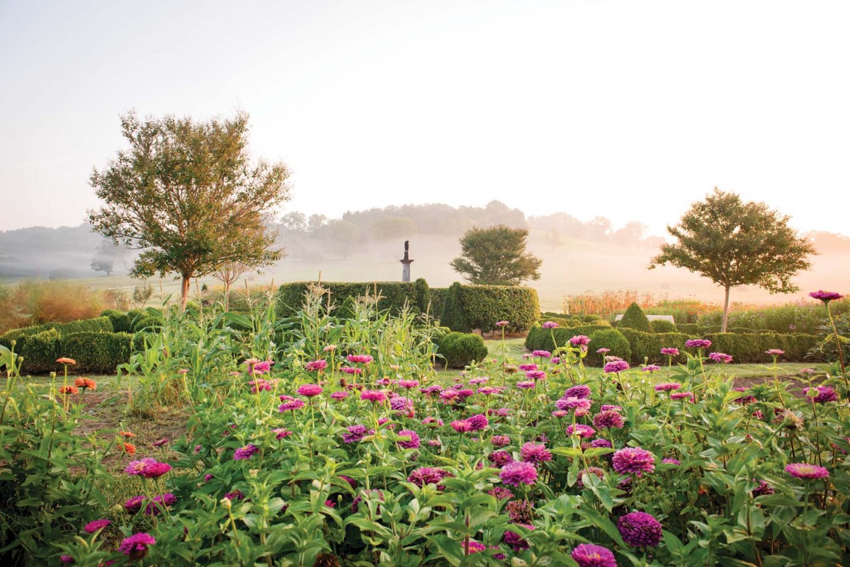 Zinnias and morning fog on Libby and Ben Page's farm, from the book Julia Reed's South.
