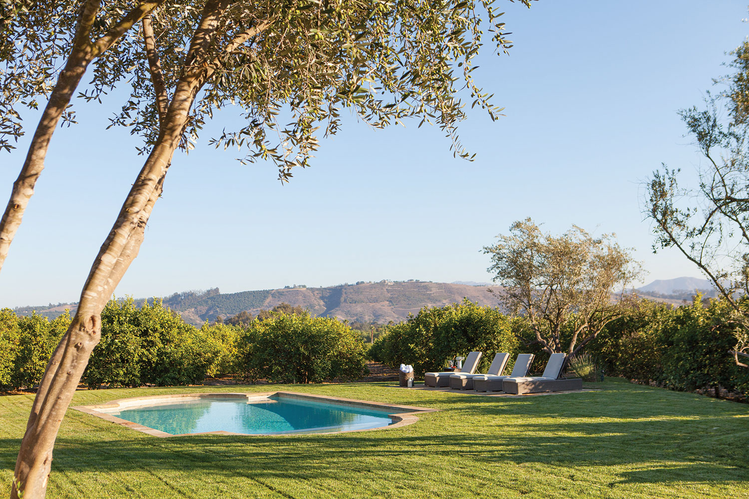 Views of rolling hills and lemon groves await those lucky enough to be invited for a swim at designer Jennifer Amodei‘s pool