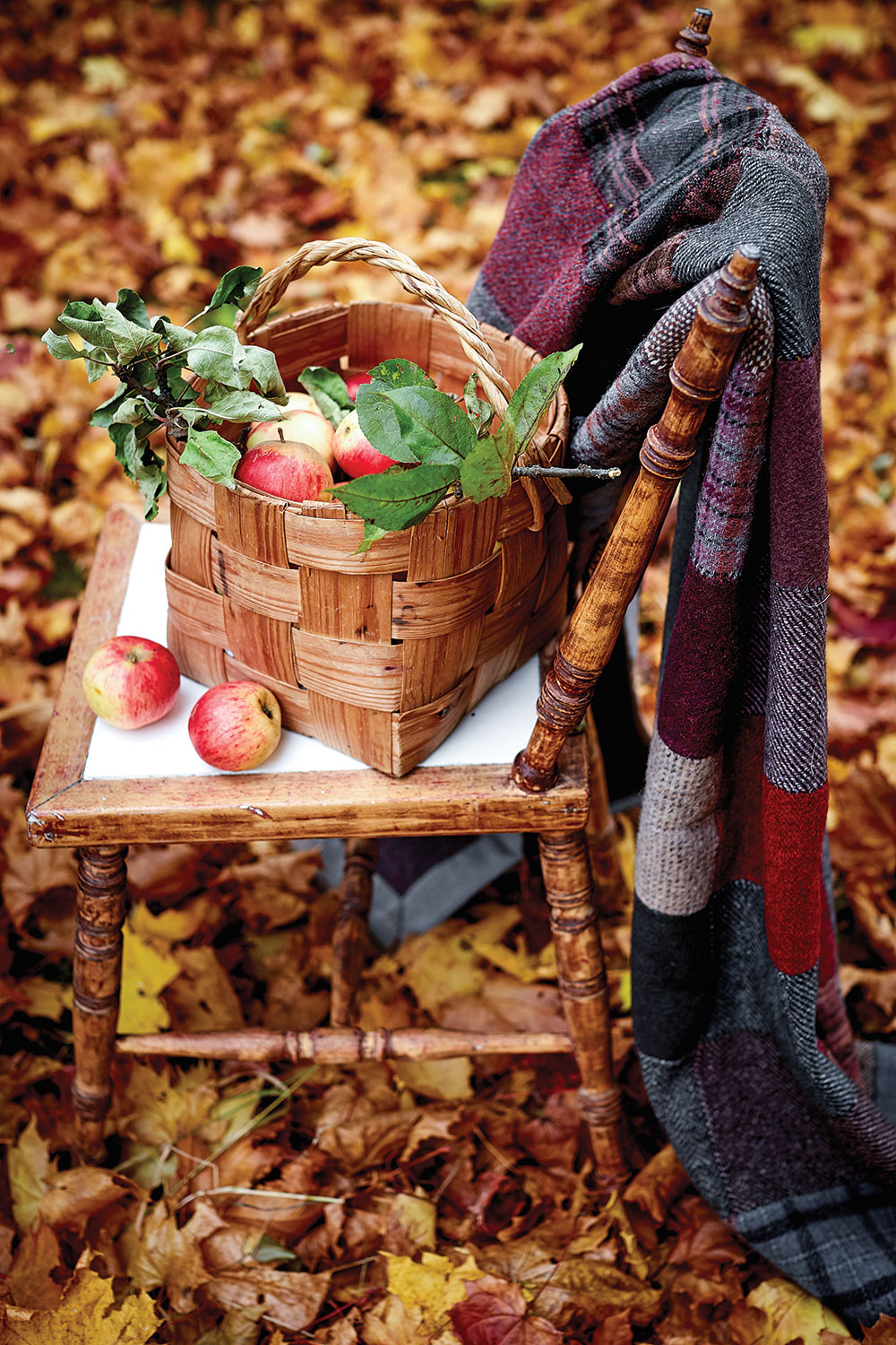 harvest celebration party favor, basket of apples