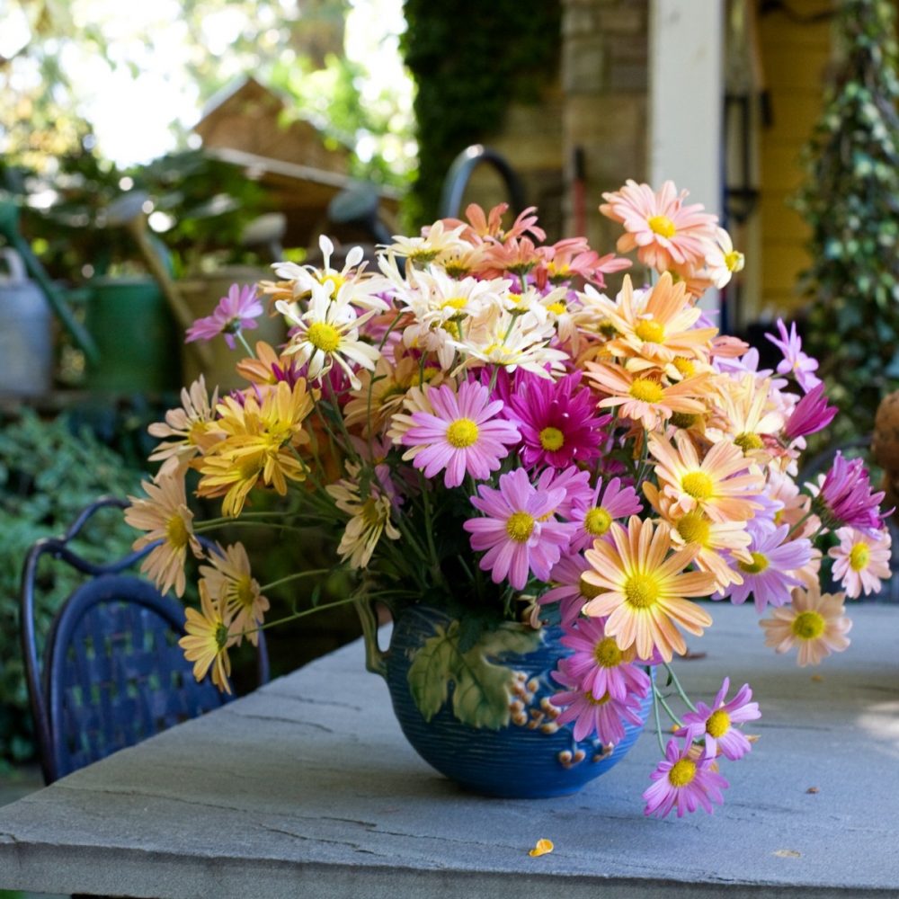 chrysanthemum flower arrangement