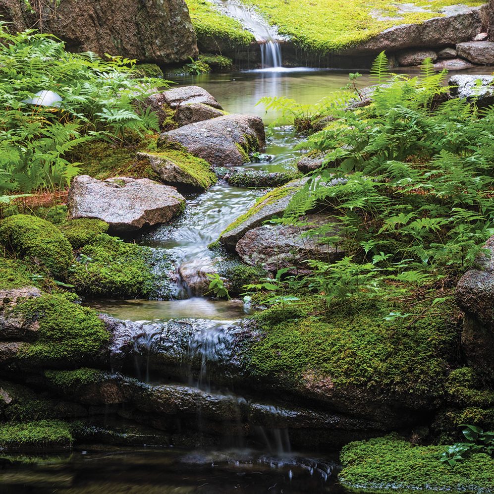 Falls set within natural rock formations and moss in the gardens at Skylands.