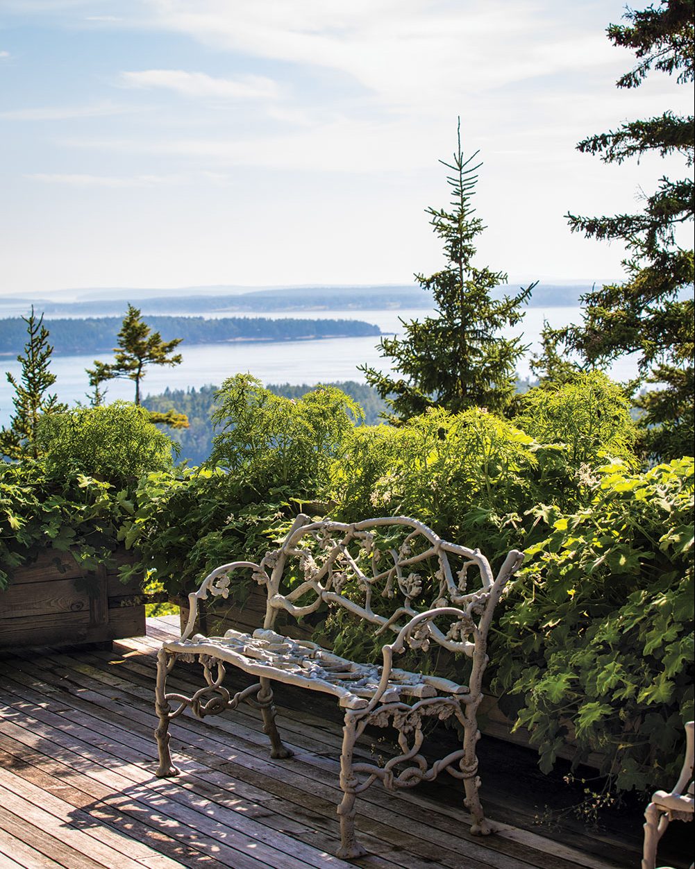 Faux bois bench in front of coastal Maine view at Martha Stewart's summer home, Skylands. 