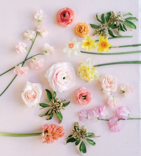 An overhead view of materials for a floral how-to, including 'Cloni' ranunculus, pink ranunculus, peach ranunculus, sweet peas, garden roses, daffodils (‘Pink Charm,’ ‘Ice Follies,’ and ‘Pinza’), hyacinth, and andromeda flowers and folliage