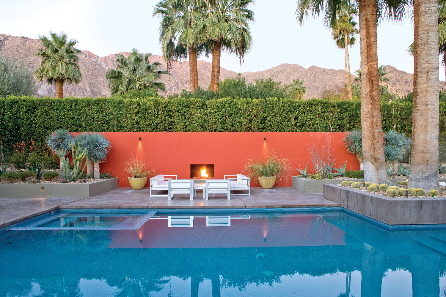 Steve Martino, desert garden swimming pool with bright orange-red wall
