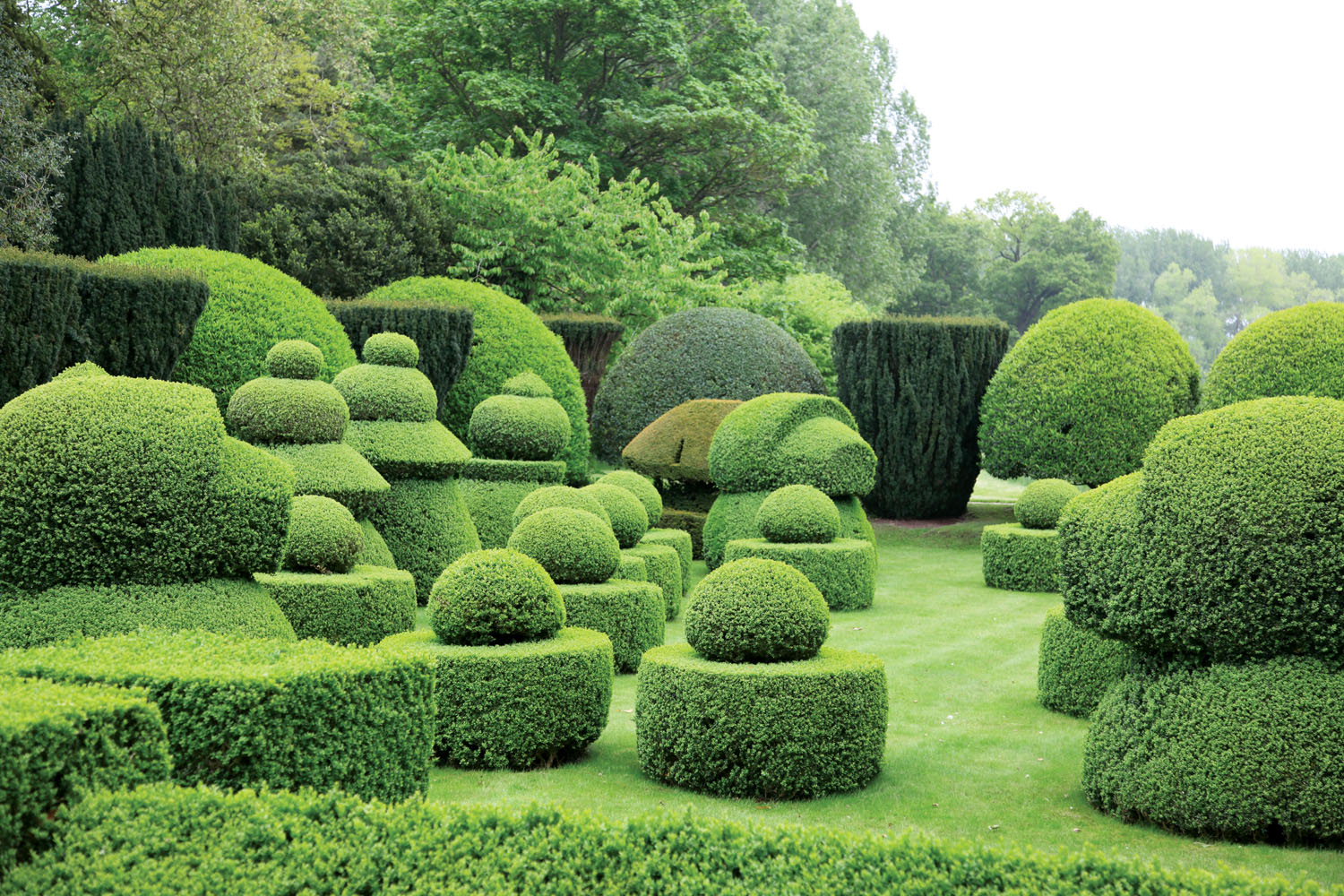 Haseley Court, topiary garden