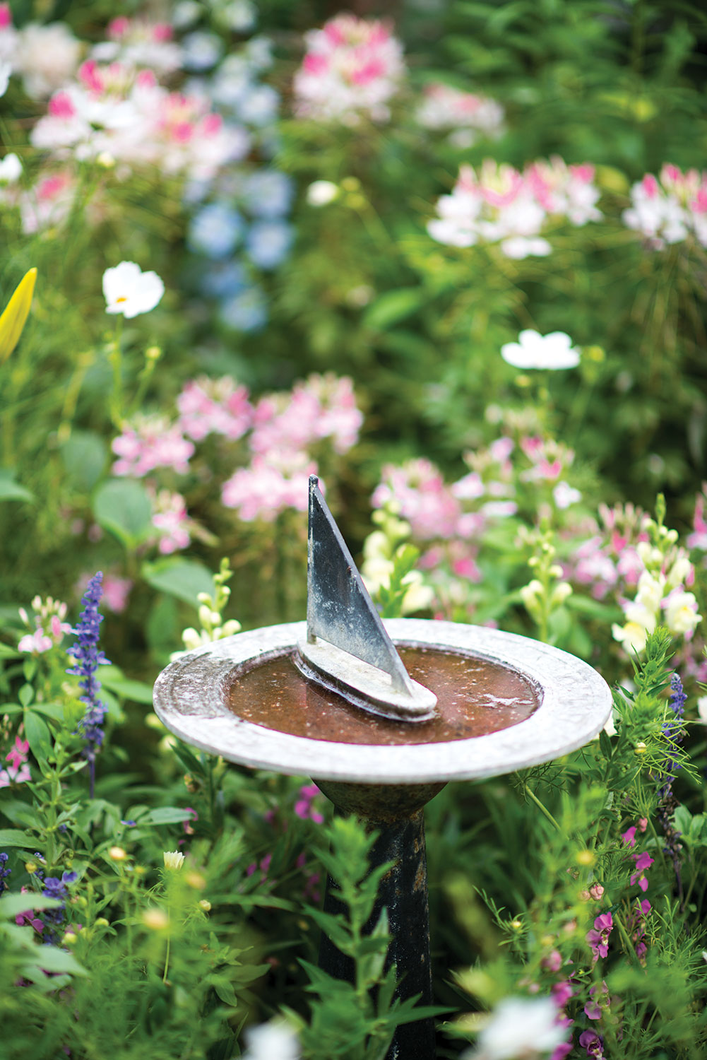 A sundial birdbath in the courtyard garden.