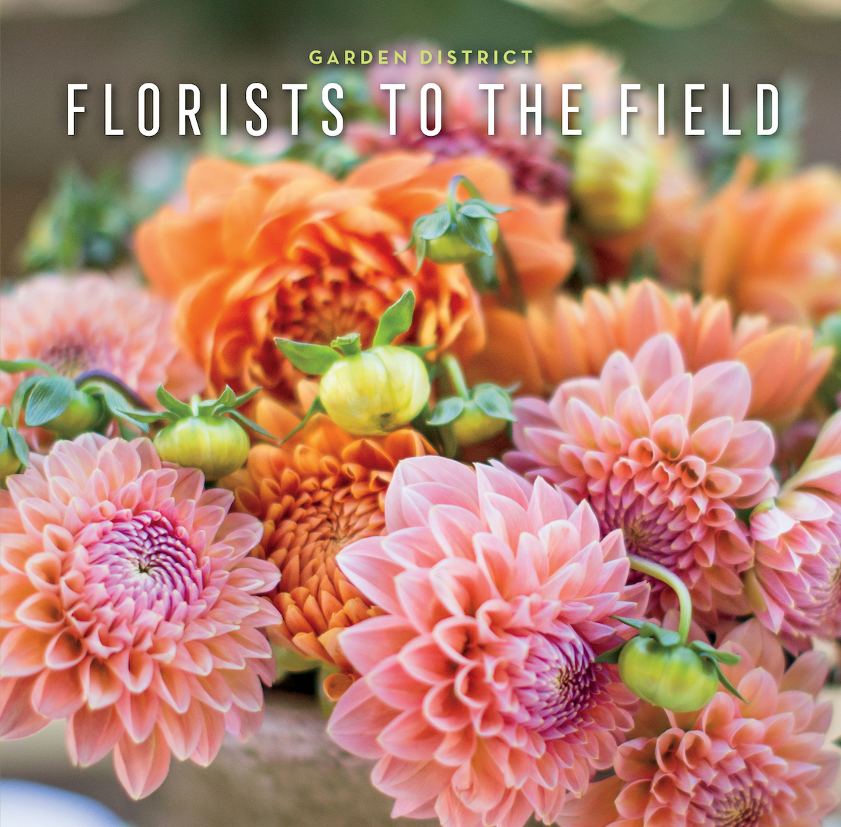 Memphis Garden District, Florist to the Field