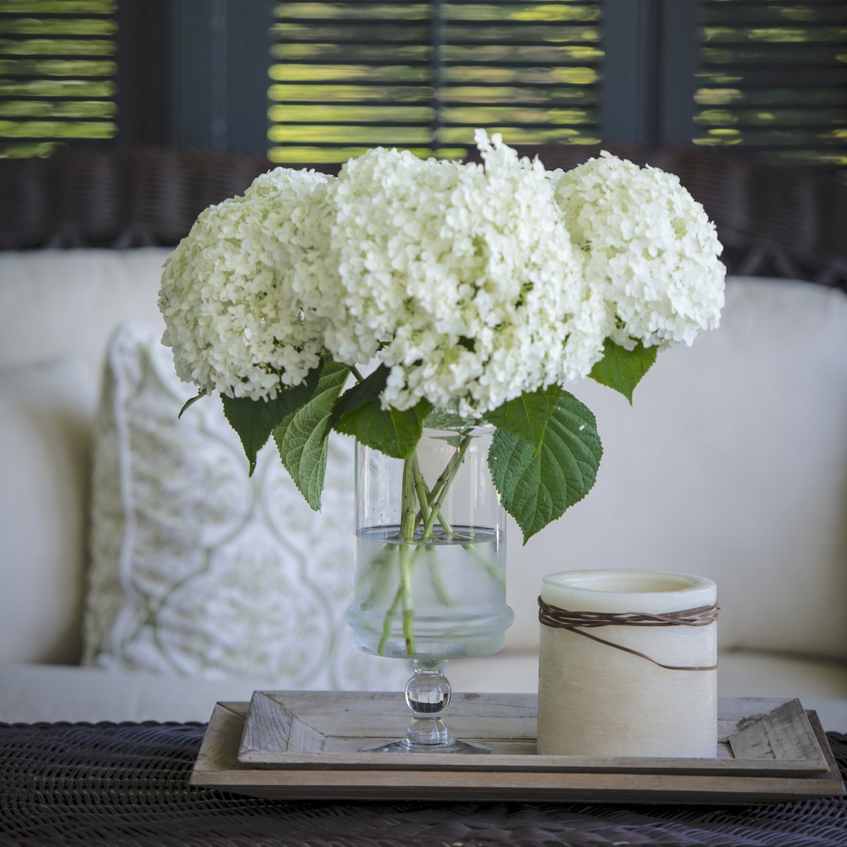 Hydrangea arborescens, or smooth hydrangeas, grows best in morning sun and afternoon shade. P. Allen Smith loves that the large white flowers age to a limey-green and make a beautiful cut flower.
