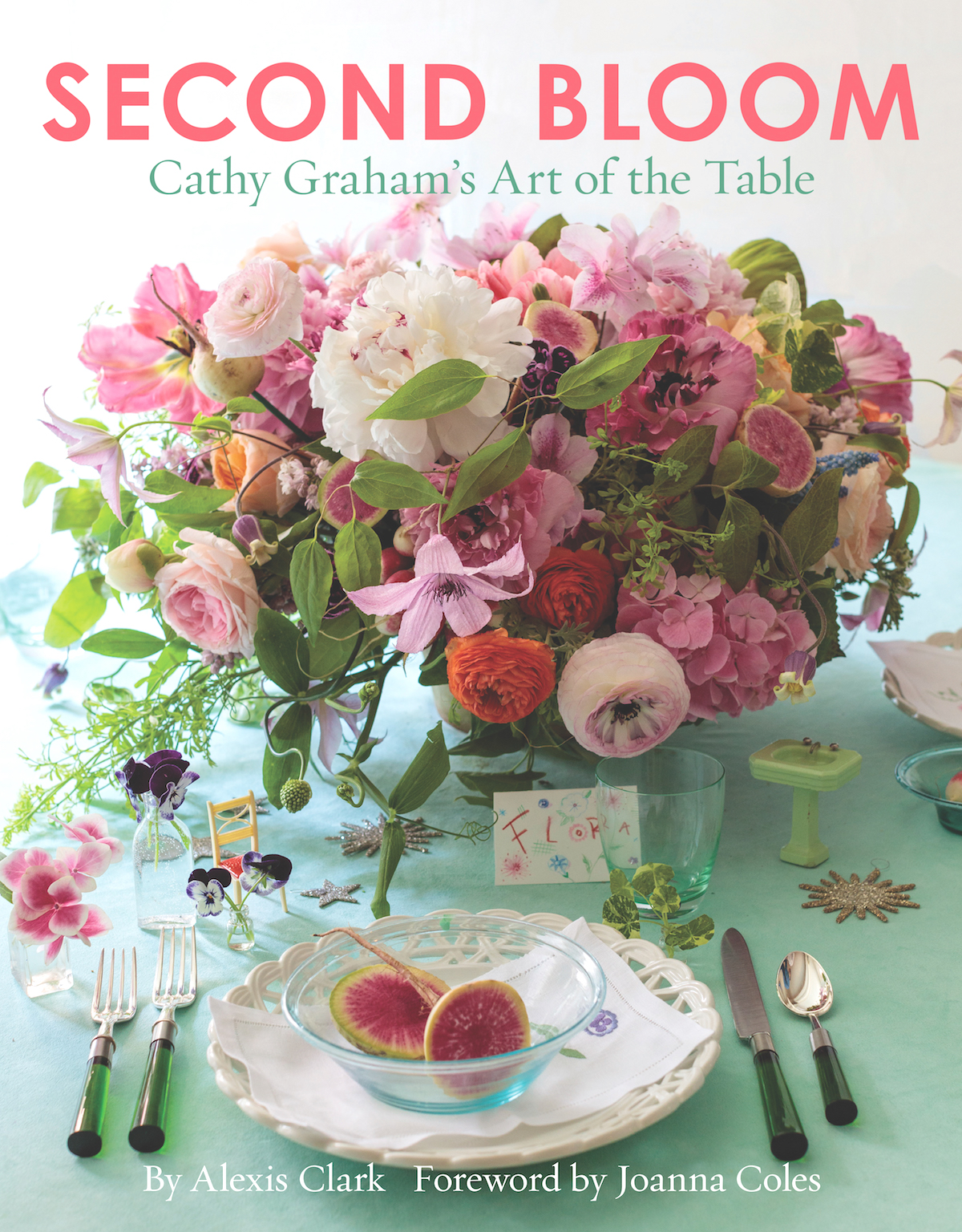 cathy graham book cover
