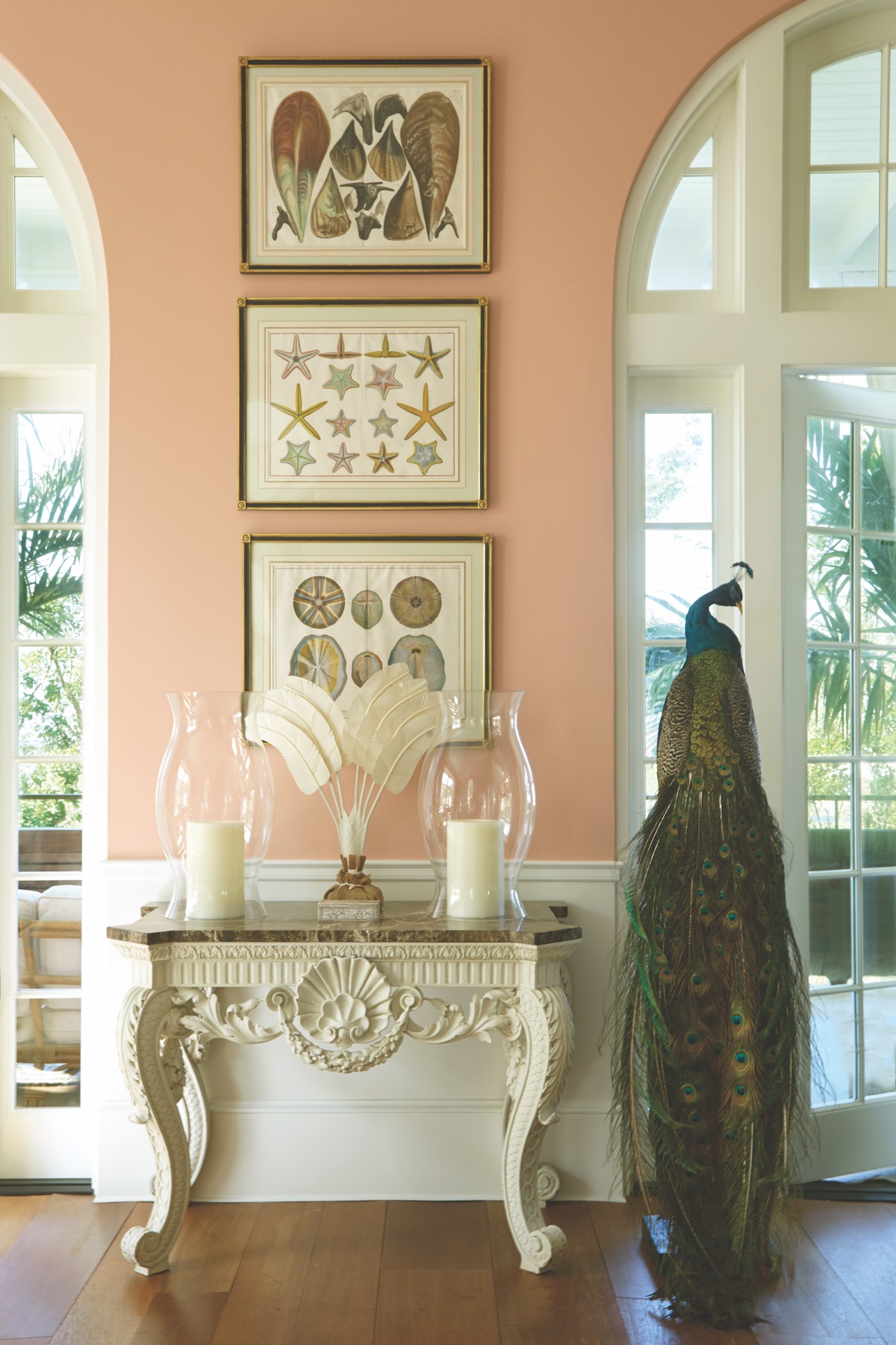 A suite of shell watercolors hangs above a Kentian carved console. The stuffed peacock adds playfulness to the space.