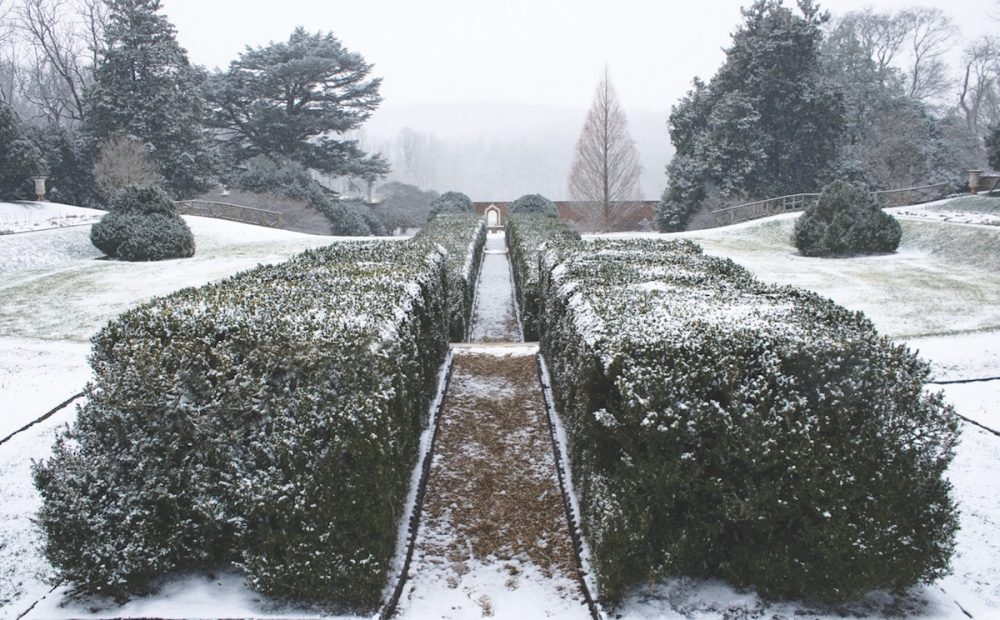 Montpelier, winter gardens