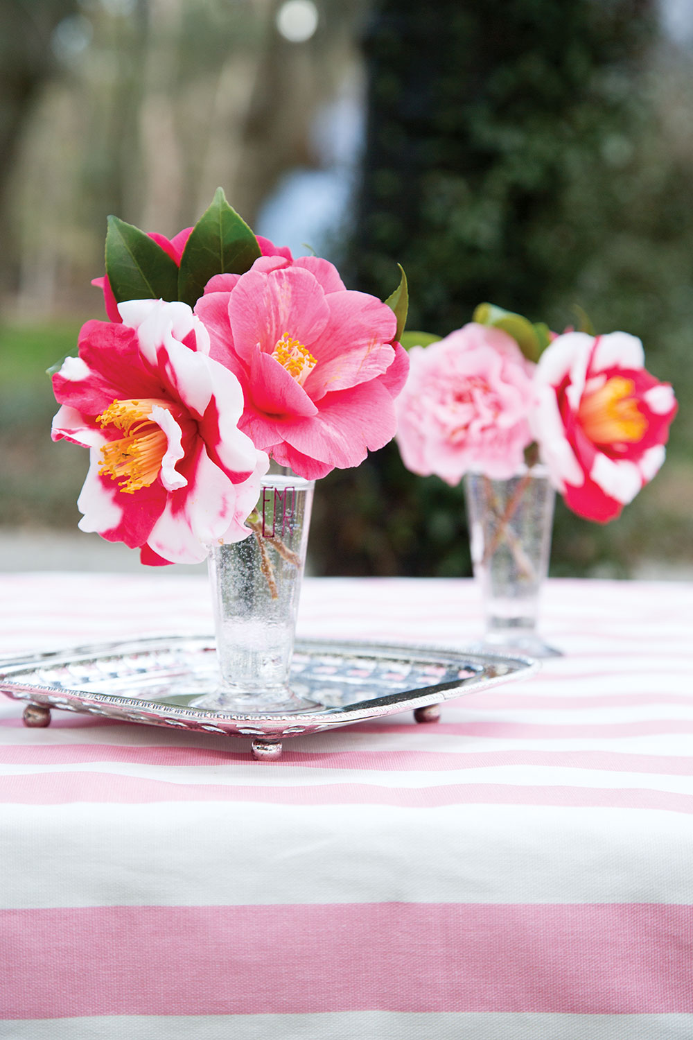 camellia pink accessories
