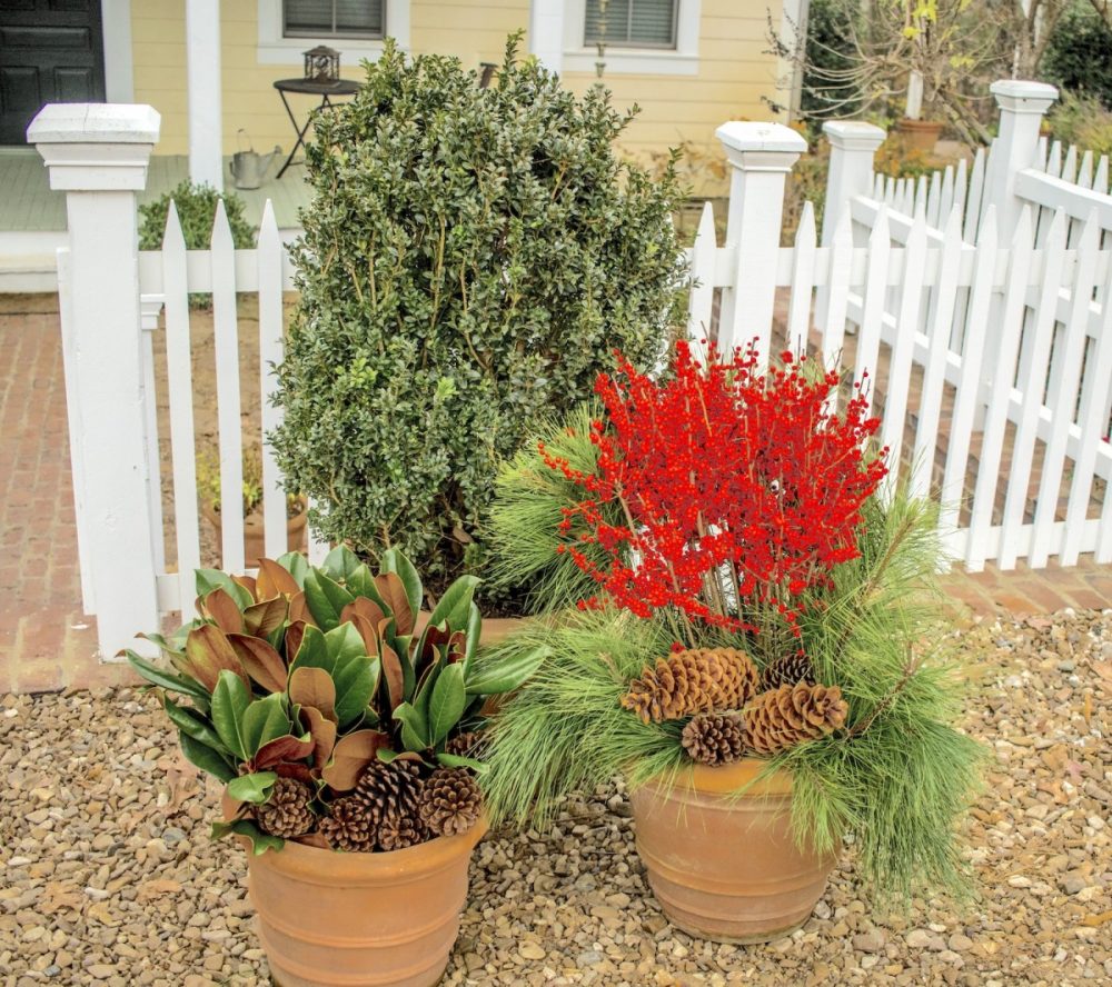 easy evergreen containers