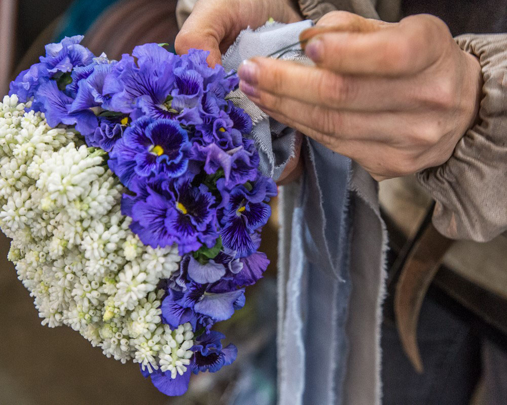 Close up of hands tying a wide periwinkle blue ribbon around a bunch of flowers that is bright purple violets on one half, and white flowers on the other half