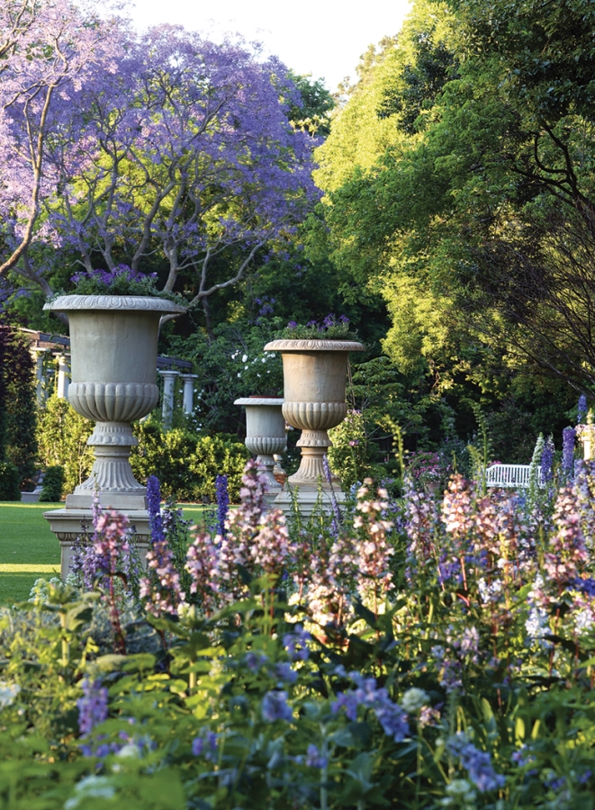 Photo shows purple flowers in foreground, with urns and trees, including a purple flowering small tree, in the background