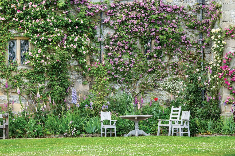 A table and chairs, beside a garden of foxglove and other bloomers, invite visitors to sit and enjoy the high wall of roses at Haddon Hall