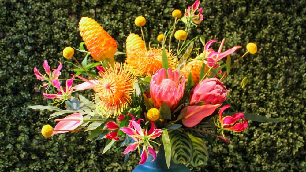 Tropical Flower Arrangement by Jessica Cohen