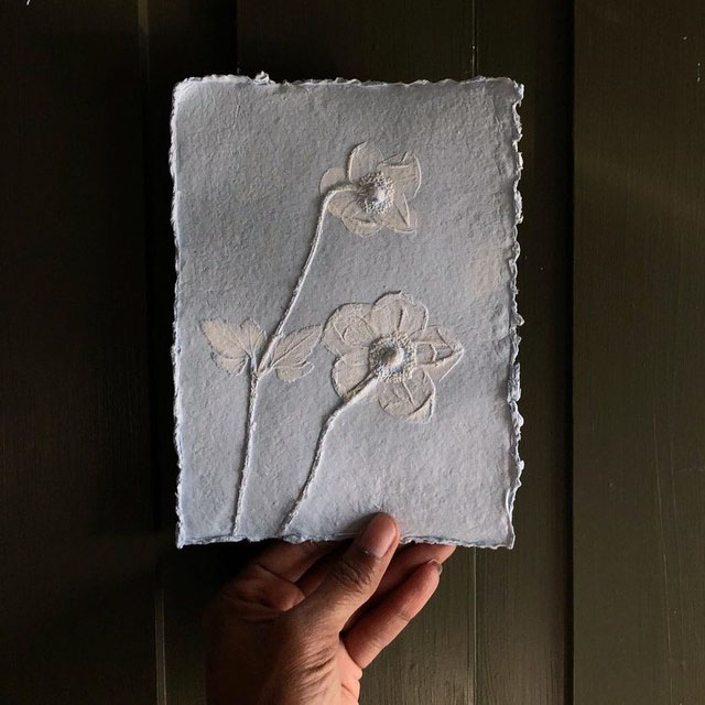 Ron Nicolle floral relief, medium: handmade paper