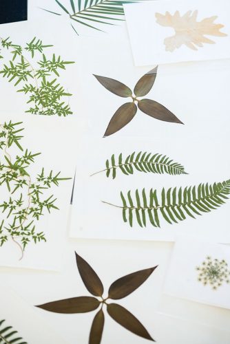 Ryan Miller's pressed botanicals