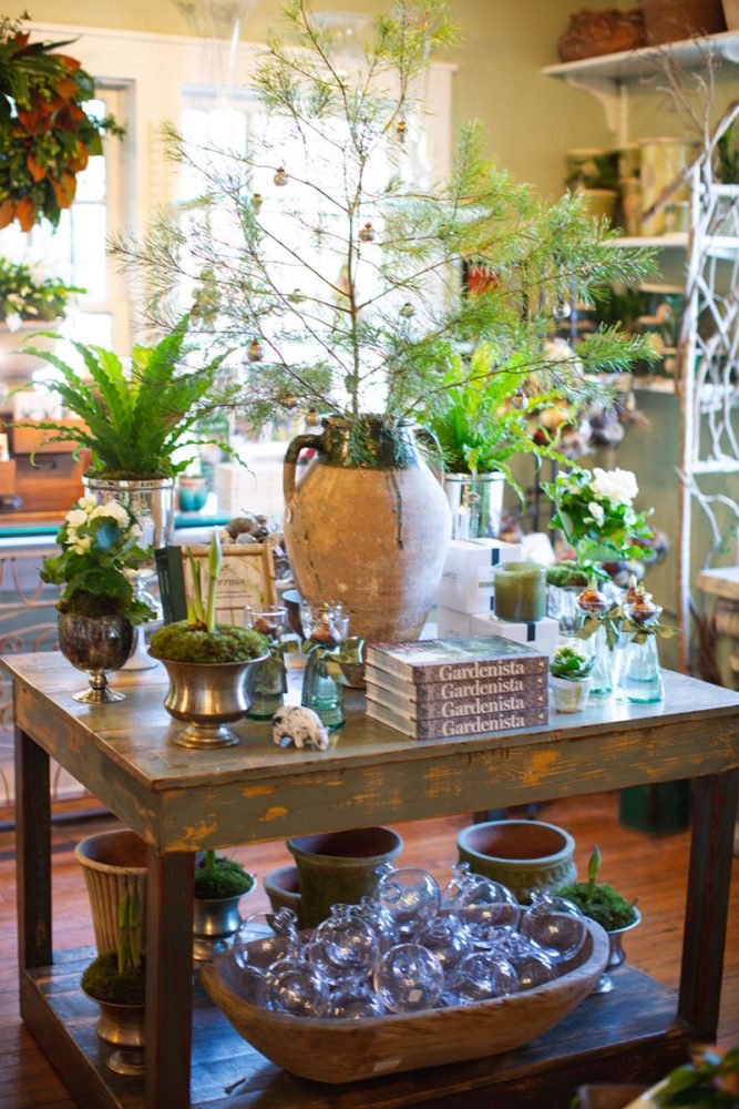 A holiday display at The Gardener's Cottage in Asheville features an elegantly sparse "Charlie Brown" Christmas tree standing in a rustic pottery jug, various plants and cut flowers in assorted vintage silver-toned containers and glass bottles