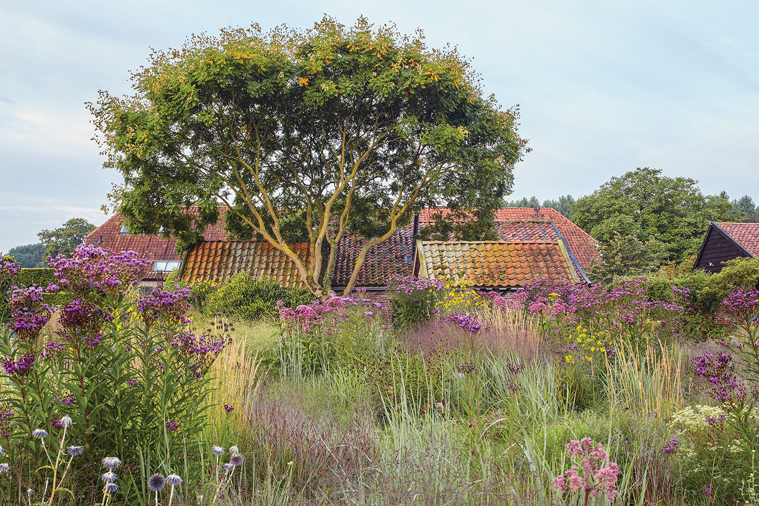 Piet Oudolf gardens and farm buildings at Hummelo