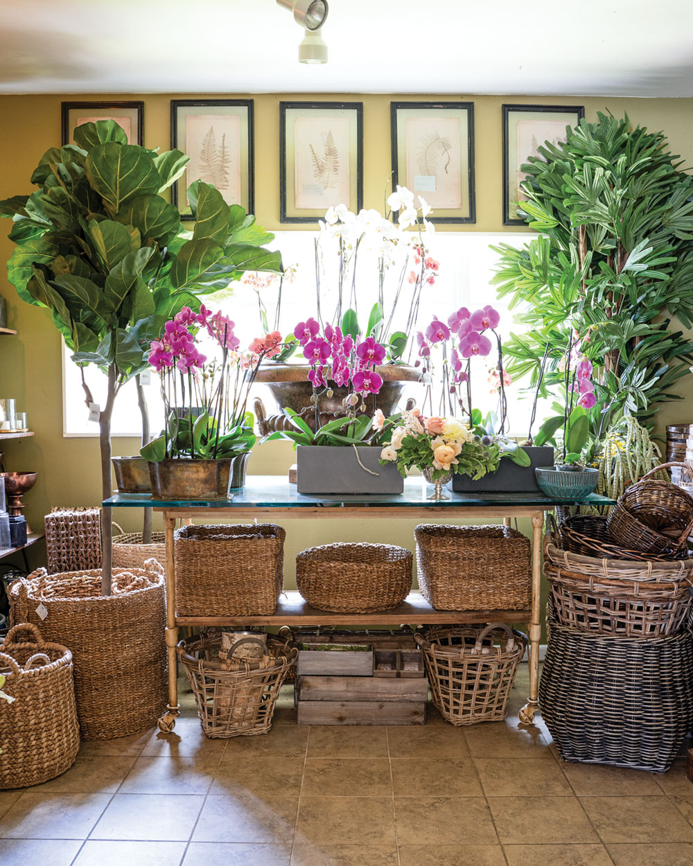 Santa Barbara shopping: potted orchids, potted trees, and baskets of all shapes, styles, and sizes at Hogue & Co. flower shop
