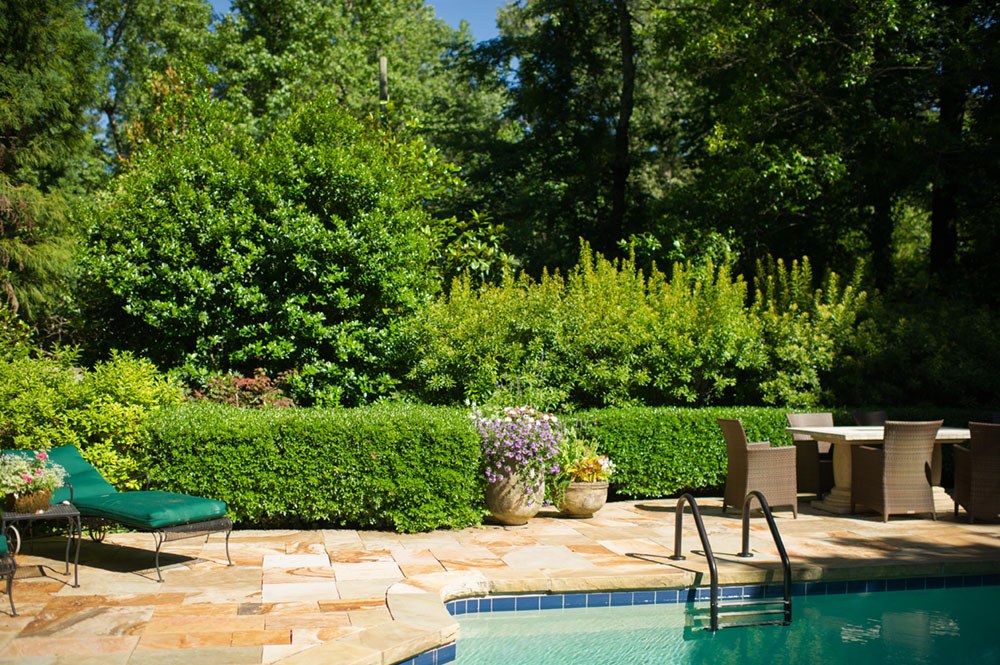 patio and pool bordered by an evergreen hedge