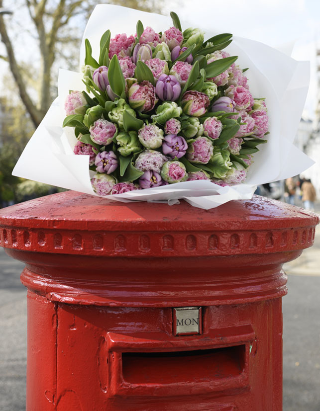 tulips, red post box