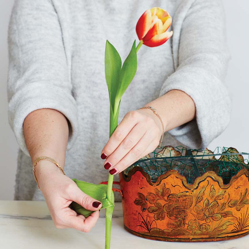 Step 3: Mimi Brown shows how to remove tulip leaves for floral arrangement