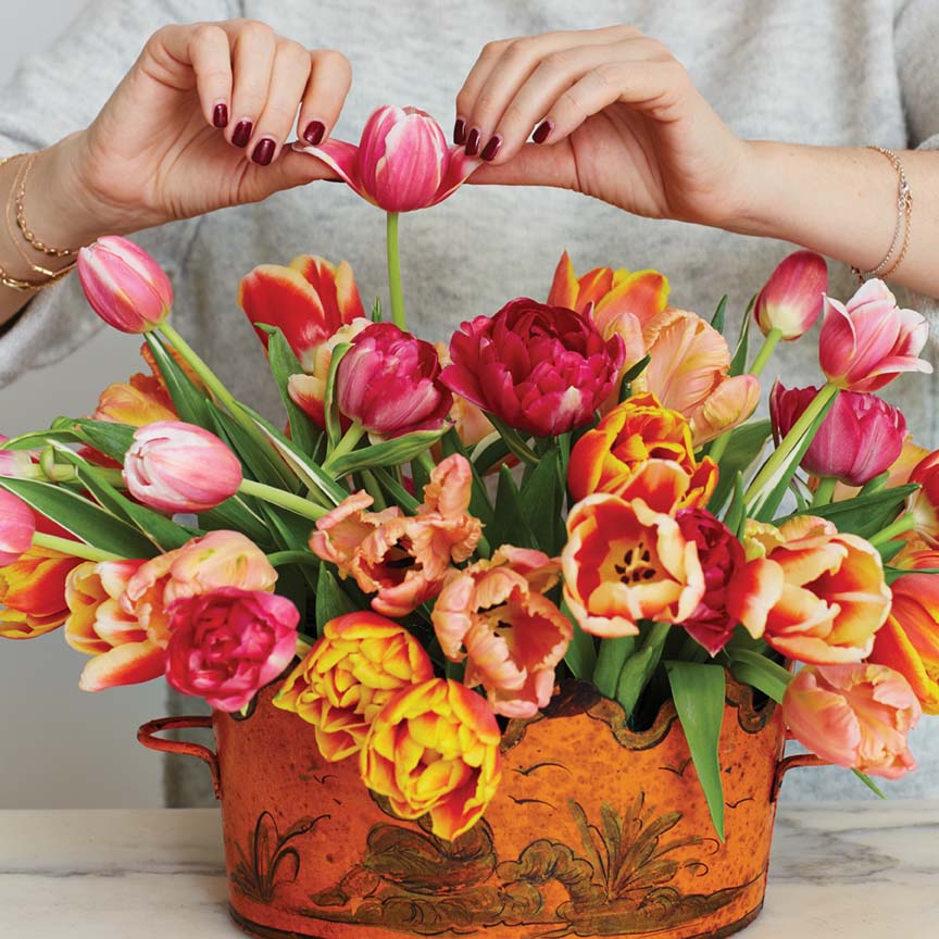 Step 5: Mimi Brown manual opens tulip petals for arrangement