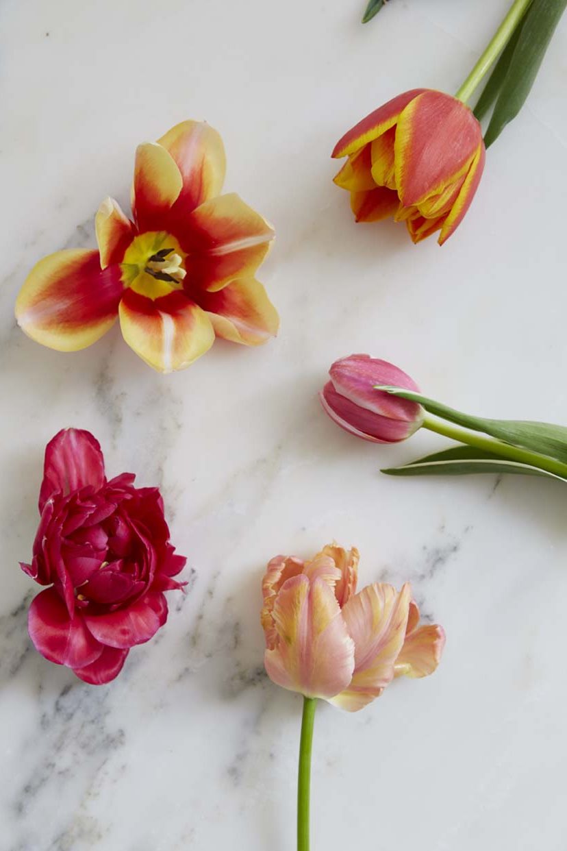 assorted tulip blooms displayed on a white marble countery