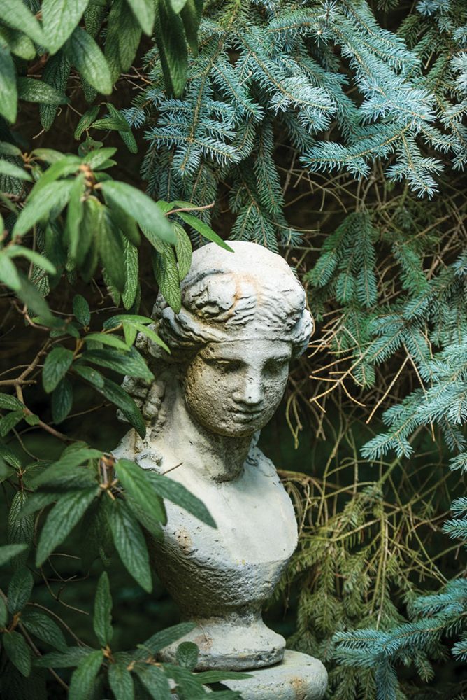 bust of Athena among evergreen foliage