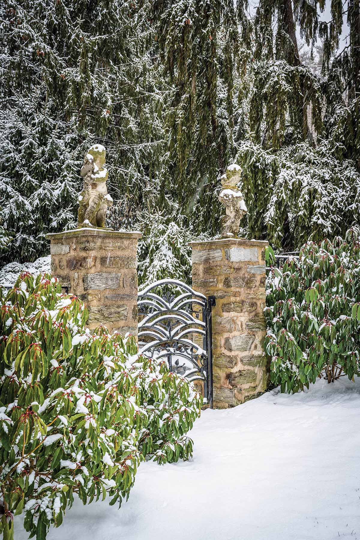 A snow-dusted iron gate in a garden.