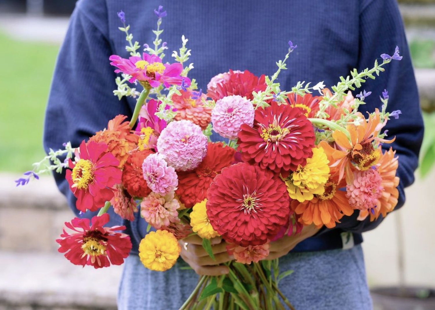 Person holding bouquet of zinnias and clary sage