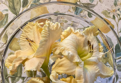 boundless beauty daylily blooms arranged in a shallow dish