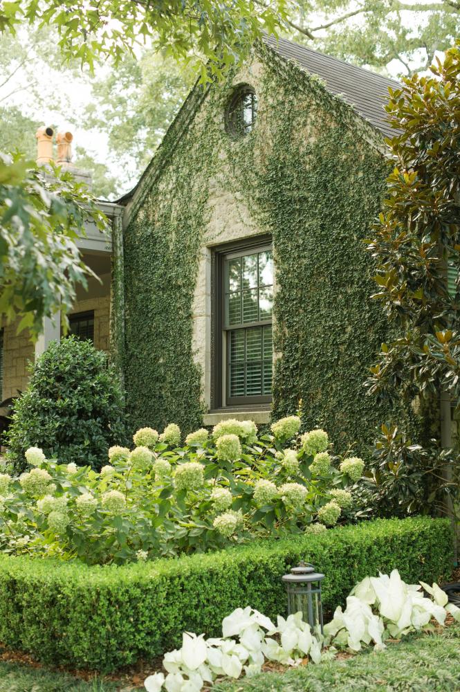 backyard with ivy-covered wall and traditional Southern plantings