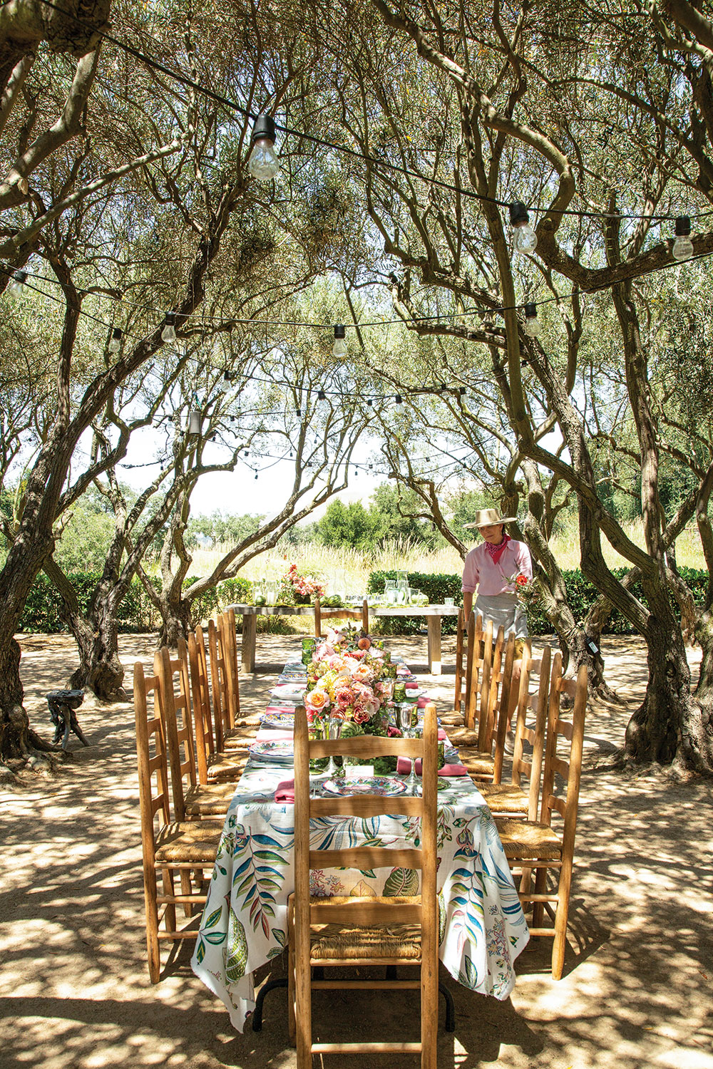 Olive tree grove with long table set for dinner with loads of flowers. Frances Schultz setting table