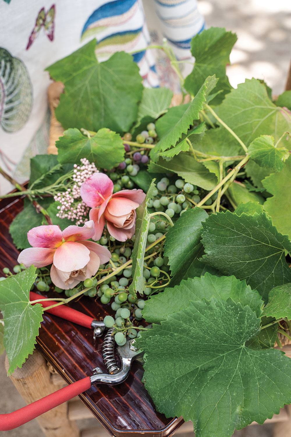 garden clippers, cuttings of grapes, leaves, and flowers