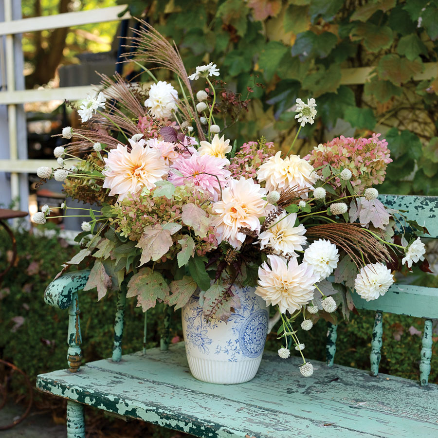 Peachy pink dahlia arrangement in a blue and white vase.