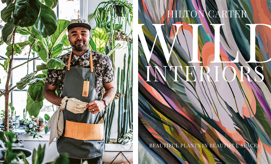 portrait of (left) Hilton Carter wearing a garden apron and one garden glove, surrounded by houseplants. (right_ book cover for Wild Interiors