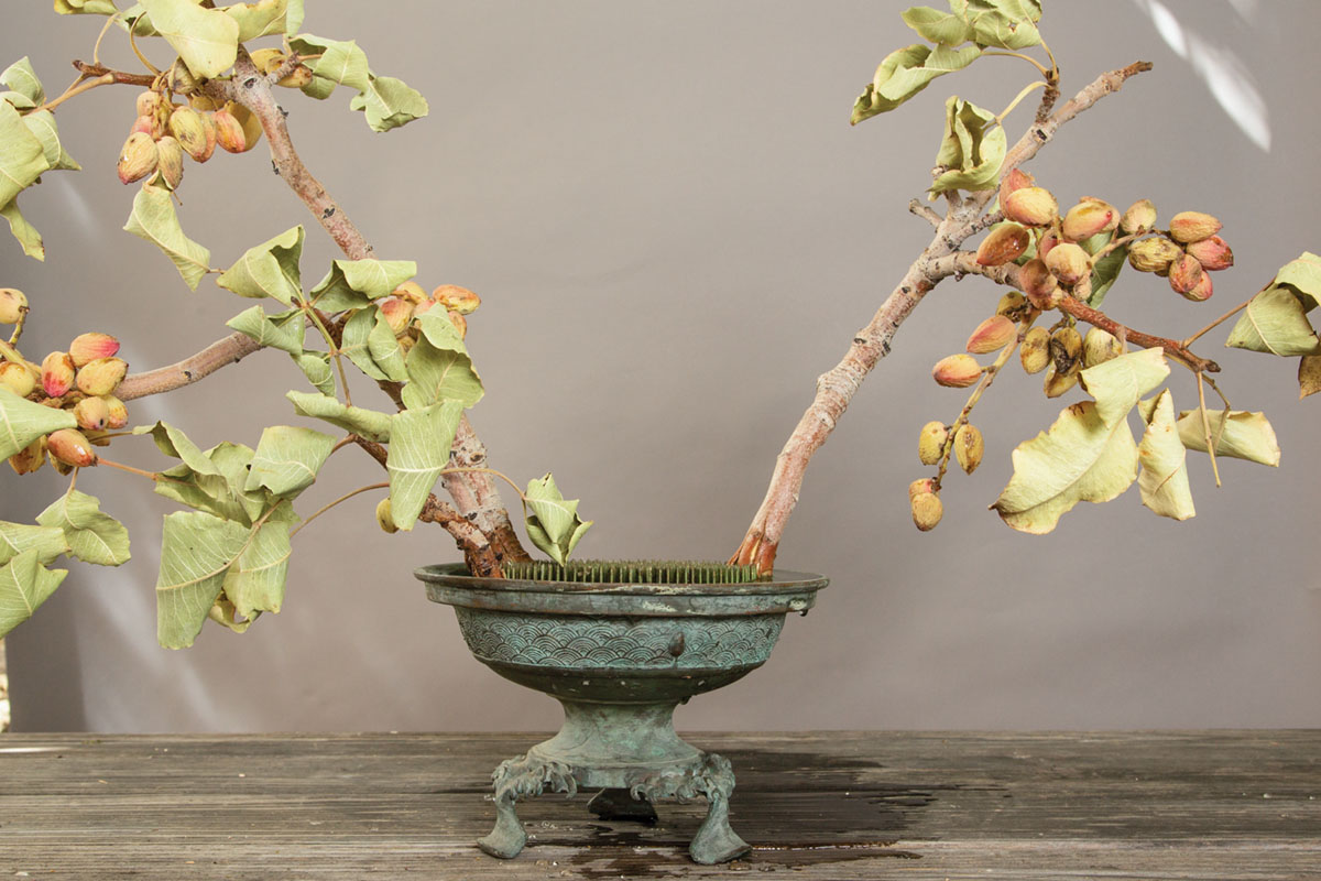 floral tutorial step 2, placing pistachio branches