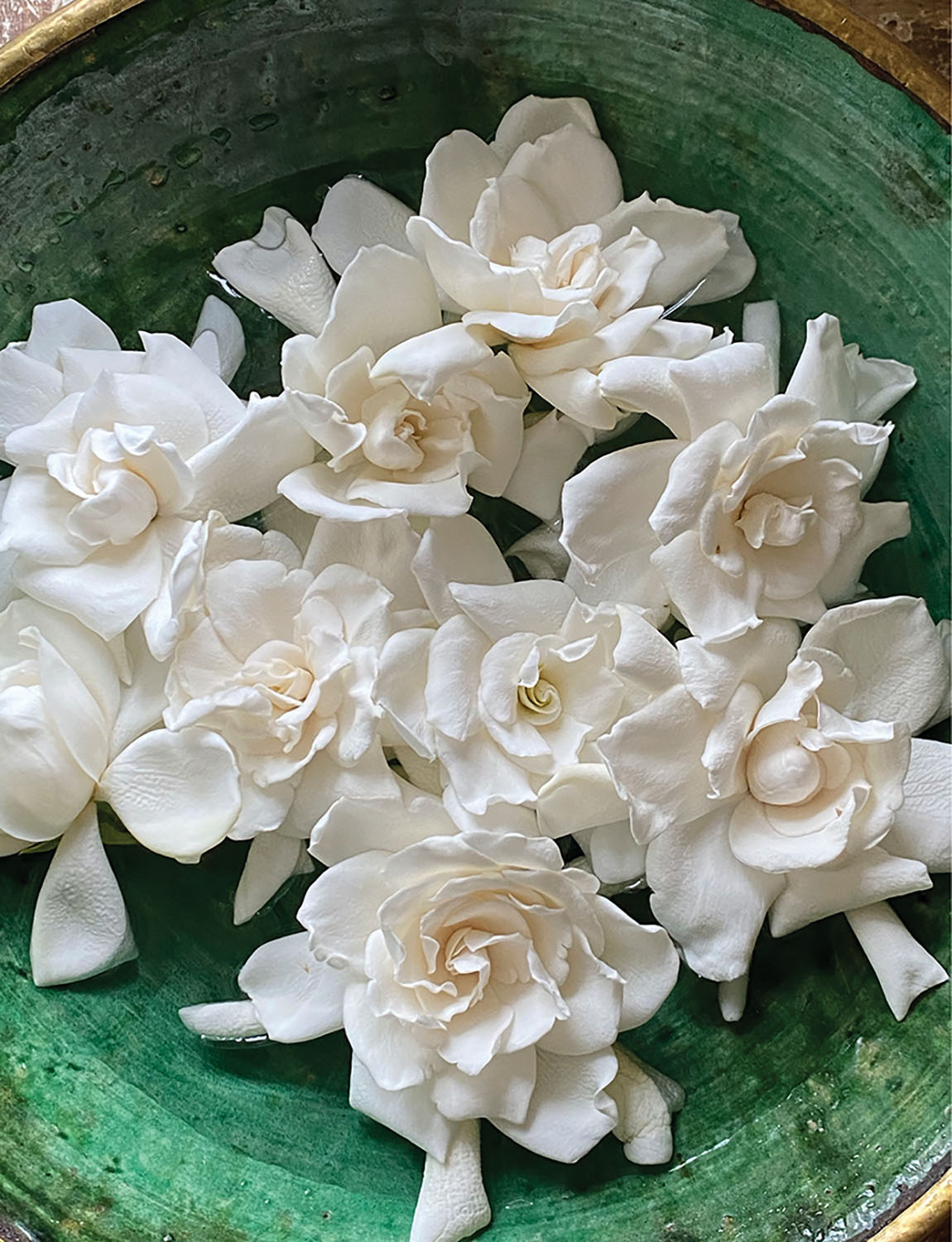 Gardenia blooms floating in a green bowl.