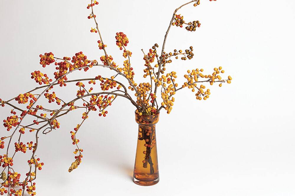 amber vase filled with branches covered in red and yellow poke berries