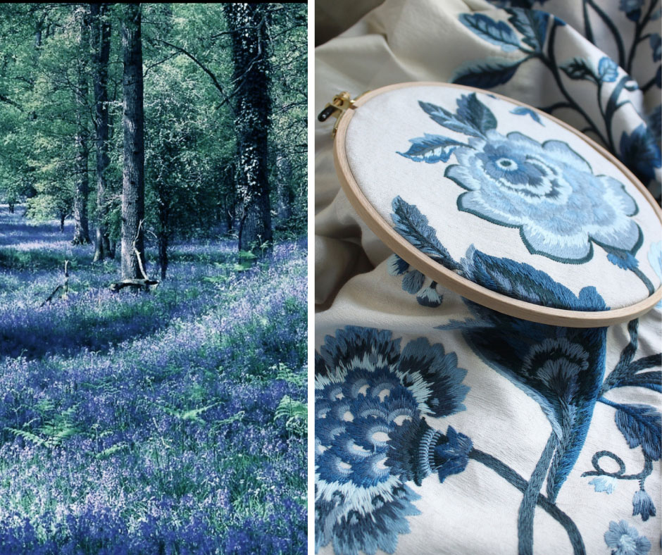 Photo of blooming Blue Bells (hyacintboides non-scripta) covering the woodland floor, juxtaposed with Suzanne Tucker’s “Gertrude” embroidered floral fabric in the color “blue bell”