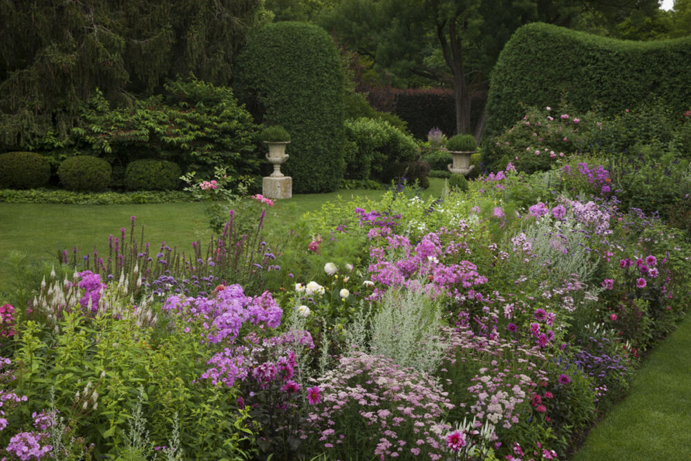 An English-garden style parterre featuring blooming perennial beds and expanses of green lawn surrounded by precisely groomed, curving walls of tall hedges. Camp Rosemary in Lake Forest)