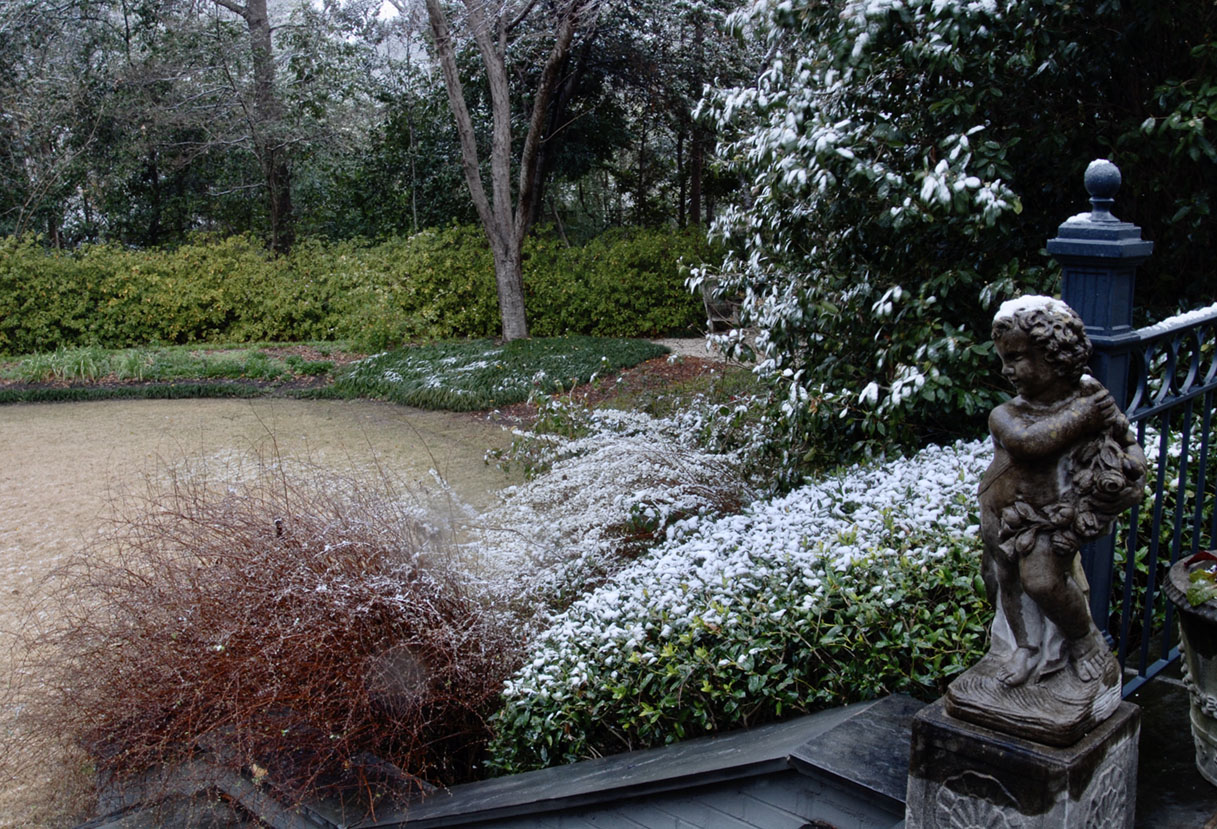 winter garden at the home of Mary Walton Upchurch