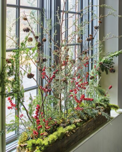 Winter flower arrangement window box of greenery and berries