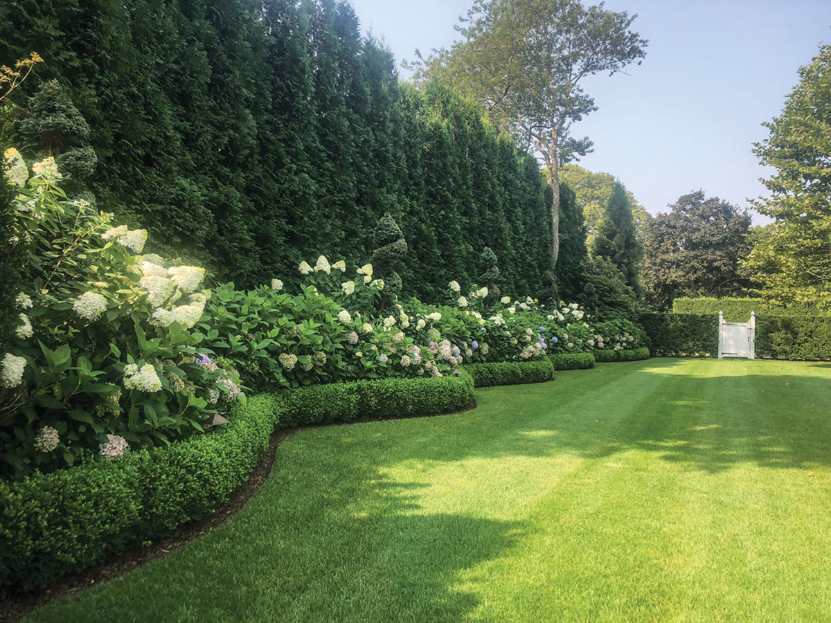 A landscape border by Quincy Hammond featuring a row of tall hedges, spiral topiaries, and flowering oak leaf hydrangeas--all contained by an undulating line of low hedges