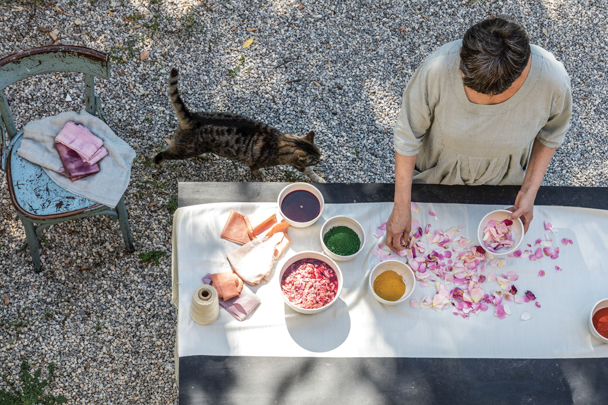 An overhead view of one of the sisters of PUSCINA FLOWERS using petals to make dye at an outdoor table set on gravel. A gray tabby cat meaders by.
